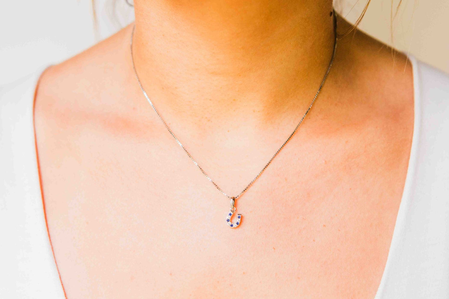 Kelly Herd Blue & Clear Dangle Horseshoe Necklace - Sterling Silver