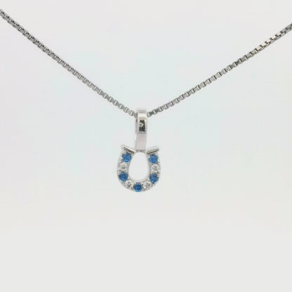 Kelly Herd Blue & Clear Horseshoe Necklace - Sterling Silver