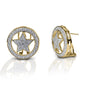 Kelly Herd Large Star Earrings - 14k Gold