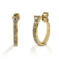 Kelly Herd Horseshoe Nail Earrings - 14k Gold