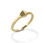 Kelly Herd Horseshoe Nail Ring - 14k Gold
