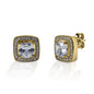 Kelly Herd Square Bezel Set Pave Earrings - 14k Gold